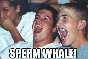 Immature High Schoolers