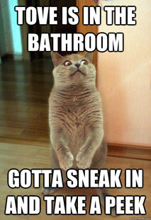 Horrorcat