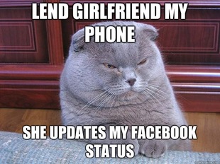 Grumpy Cat