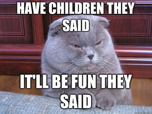 Grumpy Cat