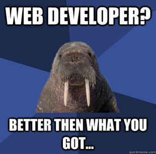 web developer