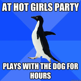 Socially Awkward Penguin
