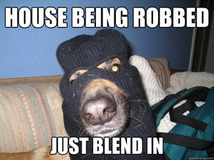 Awful Guard Dog