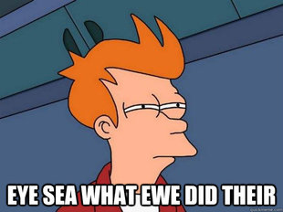 Futurama Fry