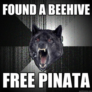 Insanity Wolf