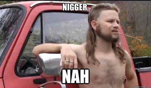 Almost Politically Correct Redneck