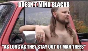 Almost Politically Correct Redneck