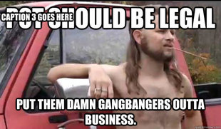 Almost Politically Correct Redneck