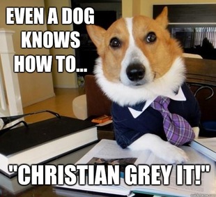 Lawyer Dog