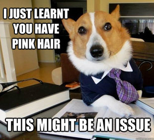 Lawyer Dog