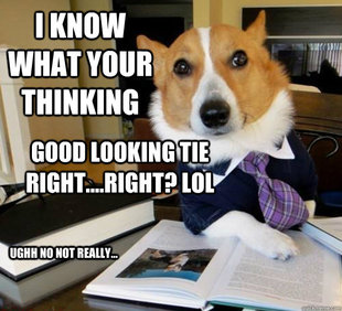 Lawyer Dog