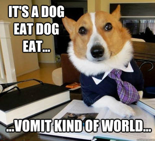 Lawyer Dog