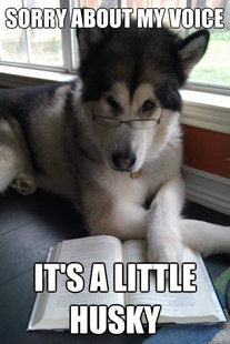 Condescending Literary Pun Dog