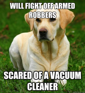 Dog Logic