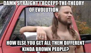 Almost Politically Correct Redneck