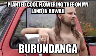 Almost Politically Correct Redneck