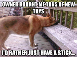 First World Dog problems