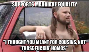Almost Politically Correct Redneck