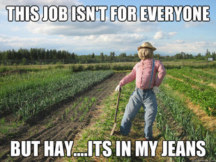 Scarecrow