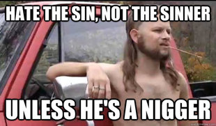 Almost Politically Correct Redneck
