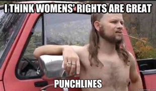 Almost Politically Correct Redneck