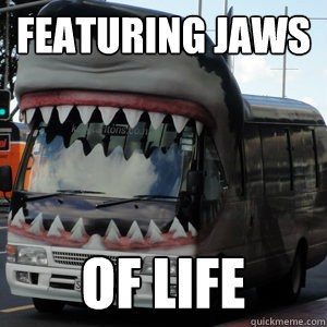 shark bus