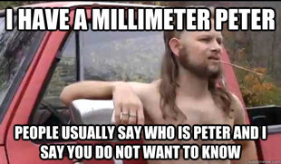 Almost Politically Correct Redneck