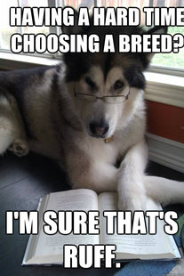 Condescending Literary Pun Dog