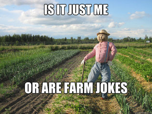 Scarecrow