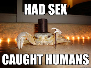 Fancy Crab