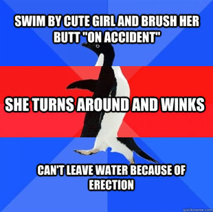 Socially Awkward Awesome Awkward Penguin