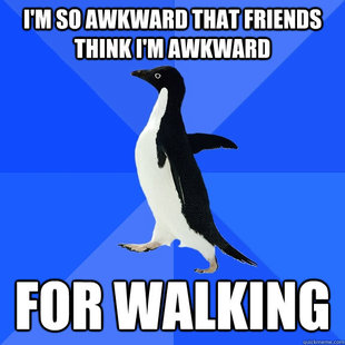 Socially Awkward Penguin