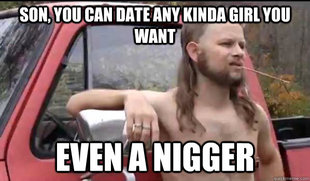Almost Politically Correct Redneck