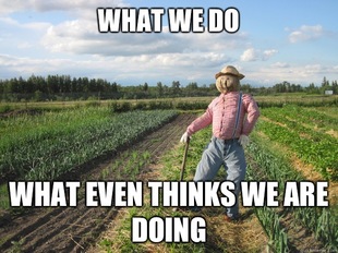 Scarecrow