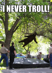 Falling Bear