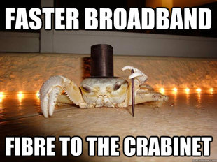 Fancy Crab