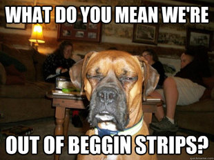 10 Dog