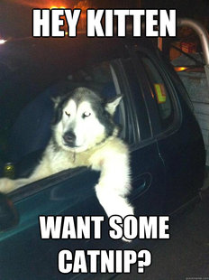 Mean Dog