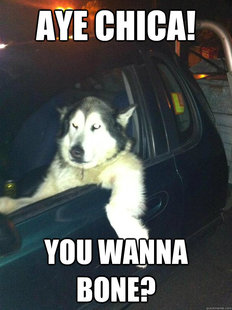 Mean Dog