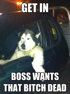 Mean Dog