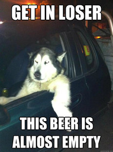 Mean Dog