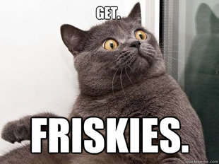 conspiracy cat