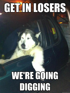 Mean Dog