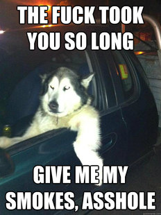 Mean Dog