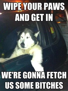 Mean Dog