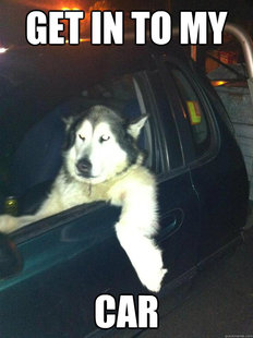 Mean Dog