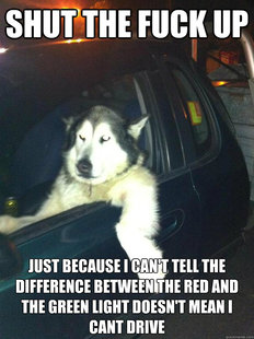 Mean Dog