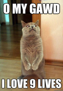 Horrorcat