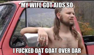 Almost Politically Correct Redneck