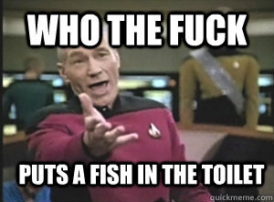 Annoyed Picard